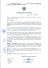 Vista preliminar de documento Resolucion Directoral 102