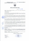 Vista preliminar de documento Resolucion Directoral 101