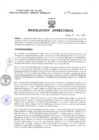 Vista preliminar de documento Resolucion Directoral 099