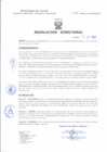 Vista preliminar de documento Resolucion Directoral 098