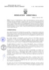 Vista preliminar de documento Resolucion Directoral 093