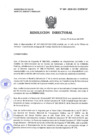 Vista preliminar de documento Resolucion Directoral 089