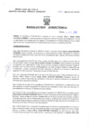 Vista preliminar de documento Resolucion Directoral 060