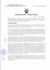 Vista preliminar de documento Resolucion Directoral 047