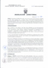 Vista preliminar de documento Resolucion Directoral 042