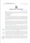 Vista preliminar de documento Resolucion Directoral 041