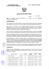 Vista preliminar de documento Resolucion Directoral 038