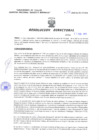 Vista preliminar de documento Resolucion Directoral 032