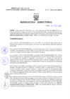 Vista preliminar de documento Resolucion Directoral 031