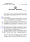Vista preliminar de documento Resolucion Directoral 029
