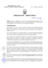 Vista preliminar de documento Resolucion Directoral 028