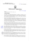 Vista preliminar de documento Resolucion Directoral 017