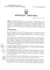 Vista preliminar de documento Resolucion Directoral 019