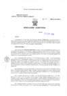Vista preliminar de documento Resolucion Directoral 013