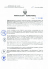 Vista preliminar de documento Resolucion Directoral 011