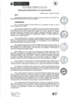 Vista preliminar de documento rd010-2025