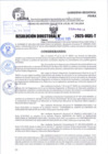 Vista preliminar de documento R.D N° 010-2025