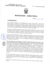 Vista preliminar de documento Resolucion Directoral 270