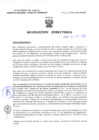 Vista preliminar de documento Resolucion Directoral 263