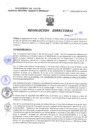Vista preliminar de documento Resolucion Directoral 251