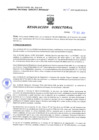 Vista preliminar de documento Resolucion Directoral 248