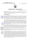 Vista preliminar de documento Resolucion Directoral 247