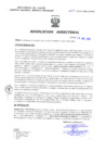 Vista preliminar de documento Resolucion Directoral 219