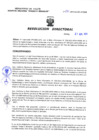 Vista preliminar de documento Resolucion Directoral 233