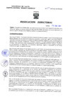 Vista preliminar de documento Resolucion Directoral 224