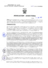 Vista preliminar de documento Resolucion Directoral 216