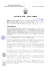 Vista preliminar de documento Resolucion Directoral 215