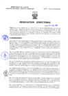 Vista preliminar de documento Resolucion Directoral 213