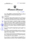 Vista preliminar de documento Resolucion Directoral 222
