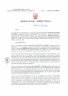 Vista preliminar de documento Resolucion Directoral 201
