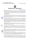 Vista preliminar de documento Resolucion Directoral 217
