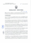 Vista preliminar de documento Resolucion Directoral 195