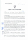 Vista preliminar de documento Resolucion Directoral 206