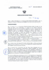 Vista preliminar de documento Resolucion Directoral 181
