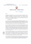 Vista preliminar de documento Resolucion Directoral 177