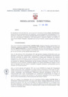 Vista preliminar de documento Resolucion Directoral 172