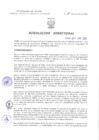 Vista preliminar de documento Resolucion Directoral 184