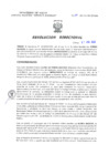 Vista preliminar de documento Resolucion Directoral 166
