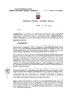 Vista preliminar de documento Resolucion Directoral 162
