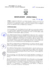 Vista preliminar de documento Resolucion Directoral 168