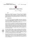 Vista preliminar de documento Resolucion Directoral 163