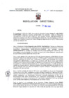 Vista preliminar de documento Resolucion Directoral 154