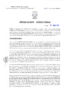 Vista preliminar de documento Resolucion Directoral 155