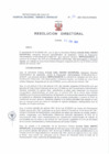 Vista preliminar de documento Resolucion Directoral 176