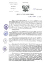 Vista preliminar de documento RD-305-2024-DG-INCN