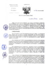 Vista preliminar de documento RD-315-2024-DG-INCN